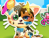 Funny Kitty Care poster